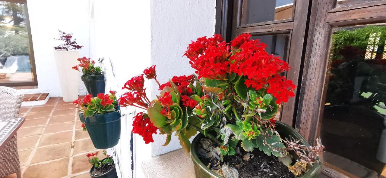 Roca Verde, Boutique Bed & Breakfast (Adults Only) Alhaurín de la Torre Zewnętrze zdjęcie