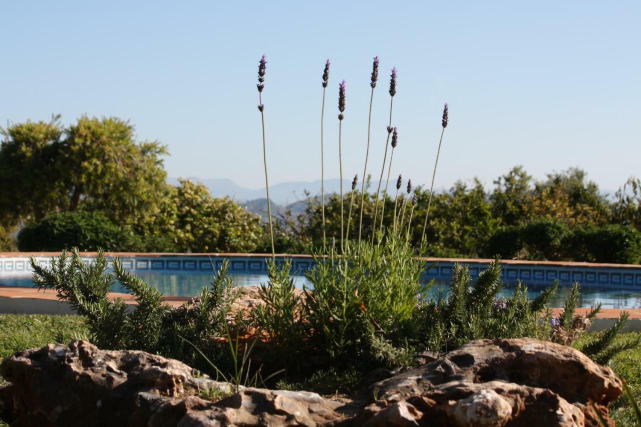 Roca Verde, Boutique Bed & Breakfast (Adults Only) Alhaurín de la Torre Zewnętrze zdjęcie